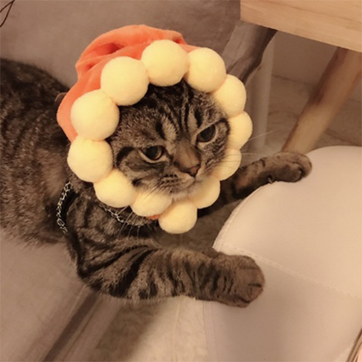 10 Pet Headwear Cute Dog Teddy Dress up Sunflower Lucky Headdress Wig Cat Headwear Hat