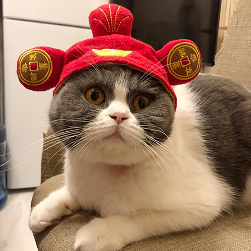 10 Pet Headwear Cute Dog Teddy Dress up Sunflower Lucky Headdress Wig Cat Headwear Hat