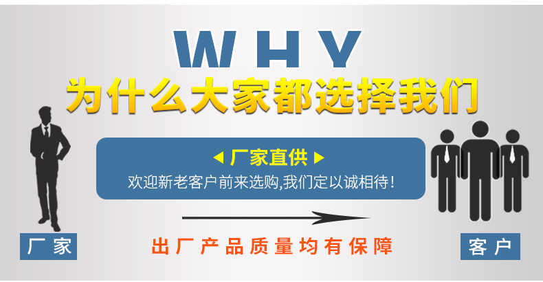Factory Wholesale Ratchet Binder Goods Pull Special Rope Fastener Brake Band Ratchet Tie down Polyester Tensioner Spot