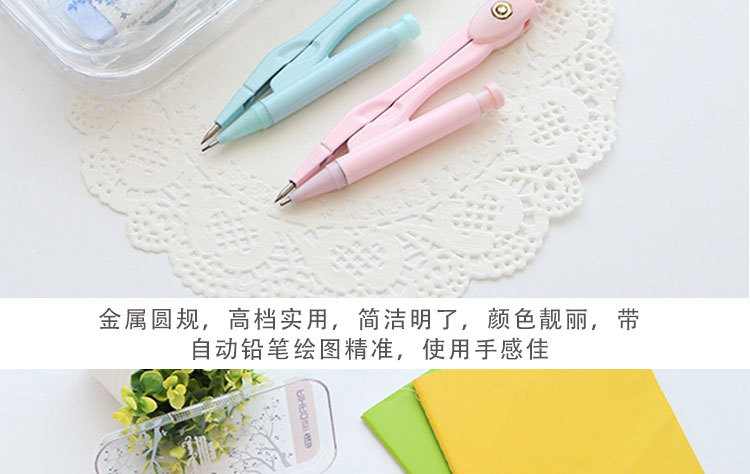 Aihao Stationery Fresh Mysterious Garden Drawing Ruler Set Triangular Plate Compasses 7707 8-Piece Set