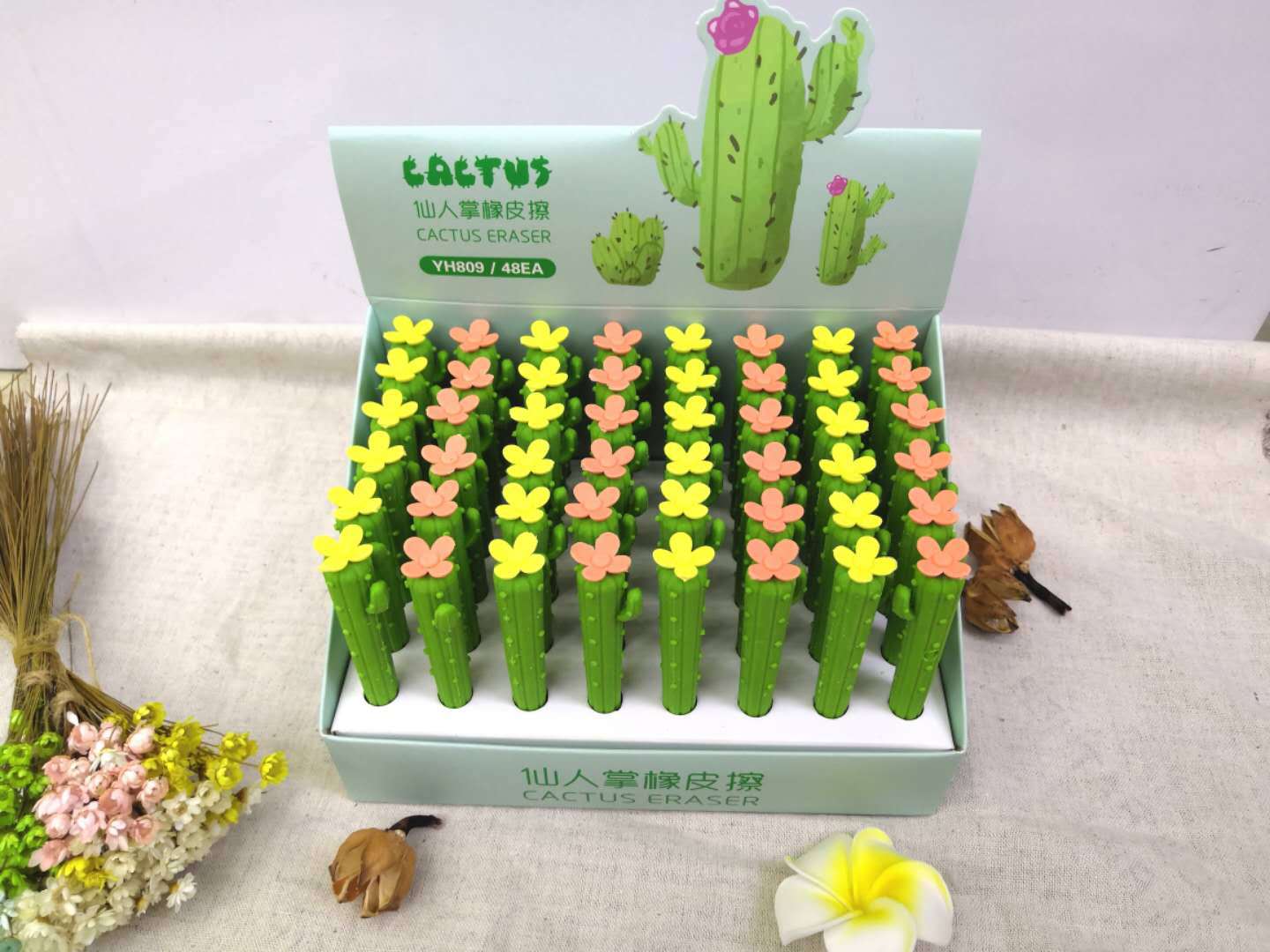 Creative Elementary School Student Mo Yi Eraser Cactus Eraser Office Stationery Student Exam Gift