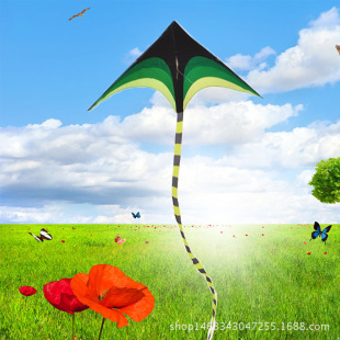 Weifang Children's Painting Kite Handmade DIY Teaching Blank Kite Full Set of Line Board Paint 42 Patterns Mixed Hair