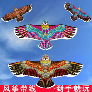 Weifang Children's Painting Kite Handmade DIY Teaching Blank Kite Full Set of Line Board Paint 42 Patterns Mixed Hair