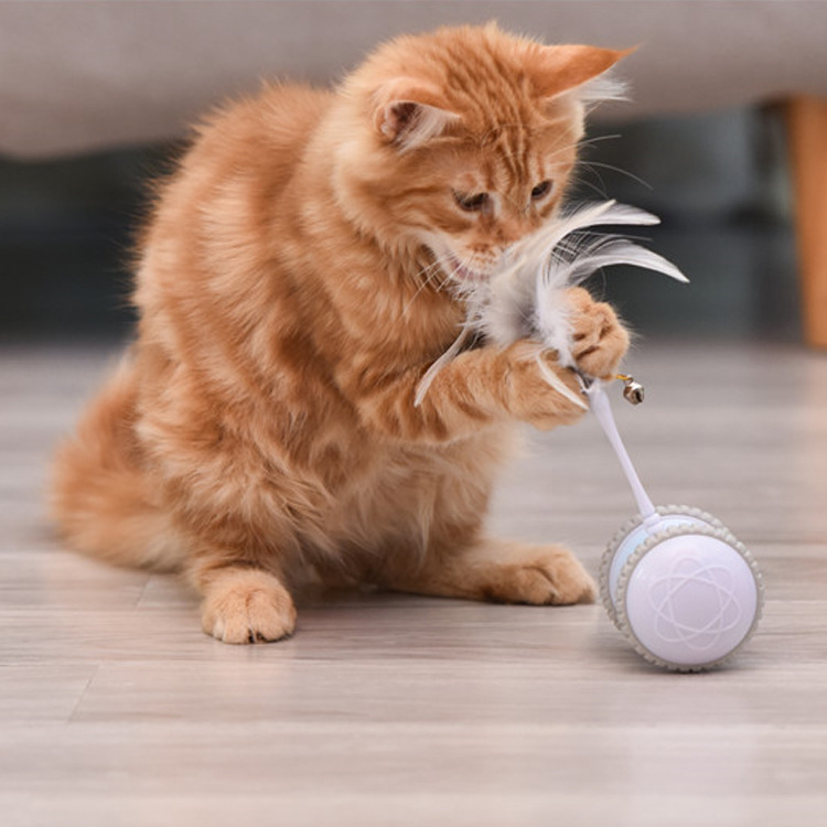 Contail Meow Car Cat Toy Electric Cat Cat Teaser Feather Intelligent Electric Balance Car Funny Cat