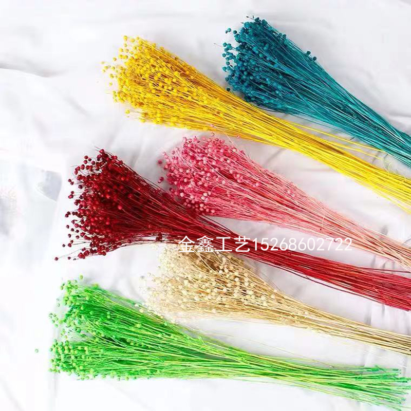 1 bunch Dried Flower Bouquets Artificial Flower Colorful acacia bean dry Bouquets Handmade Home Decor DIY Handicraft Flo 1 bunch Dried Flower Bouquets Artificial Flower Colorful acacia bean dry Bouquets Handmade Home Decor DIY Handicraft Flo