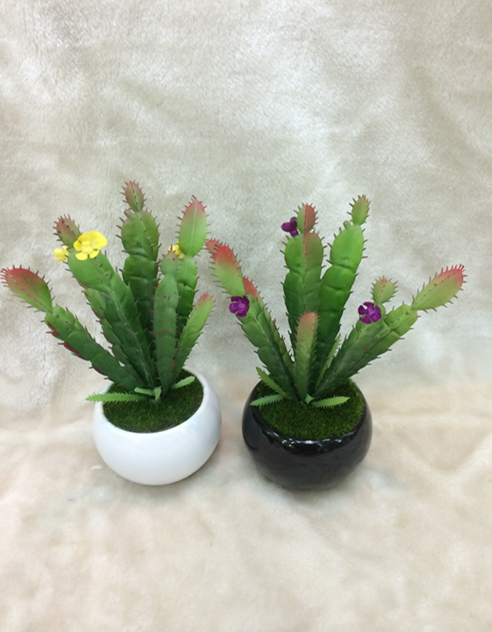 New high fidelity simulation plants potted meat home decor craft gift pot New high fidelity simulation plants potted meat home decor craft gift pot