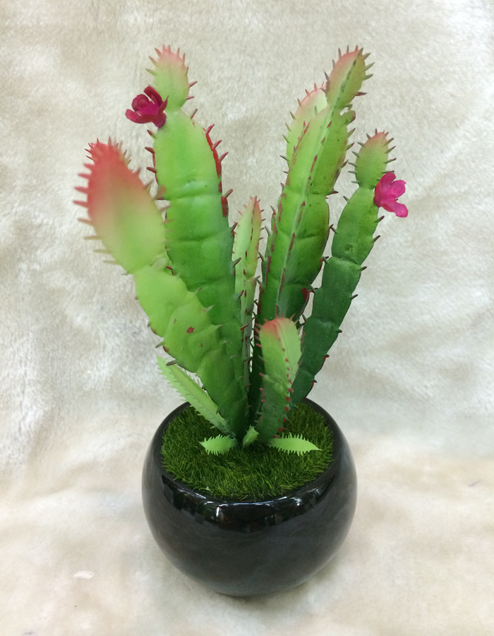 New high fidelity simulation plants potted meat home decor craft gift pot