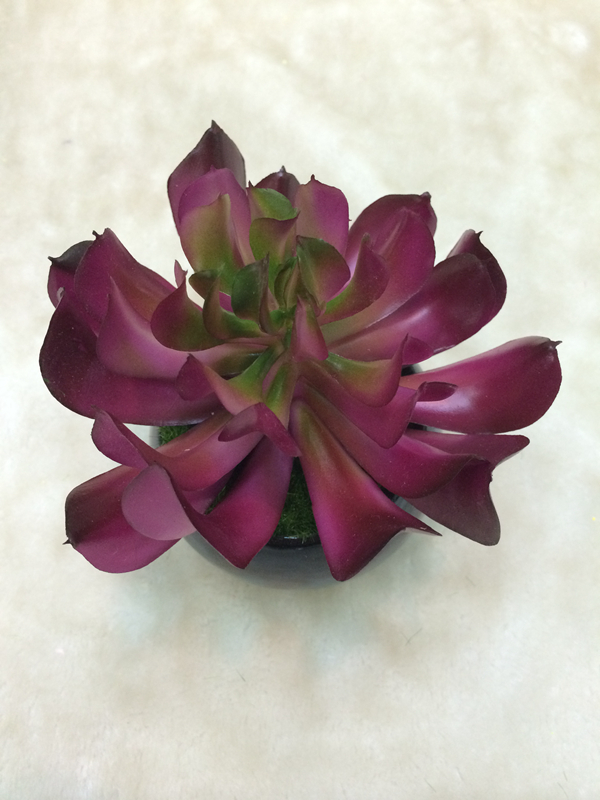 New high quality bonsai plant, fleshy home decor craft gift pot