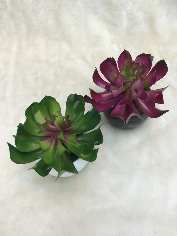 New high quality bonsai plant, fleshy home decor craft gift pot New high quality bonsai plant, fleshy home decor craft gift pot