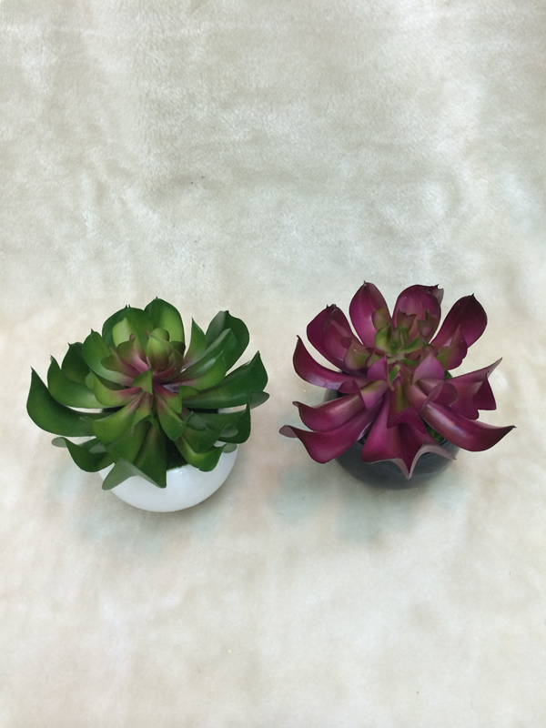 New high quality bonsai plant, fleshy home decor craft gift pot New high quality bonsai plant, fleshy home decor craft gift pot