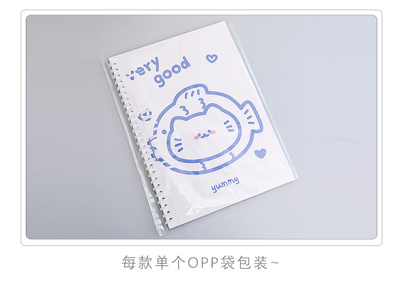 Simple Ins Bear Notebook Fresh B5 Loose-Leaf Coil Notebook Student Transparent Frosted Mesh Journal Book