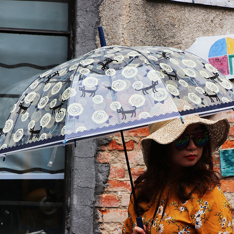 RST umbrella export Europe cute cartoon cat transparent environmental protection Apollo birdcage umbrella