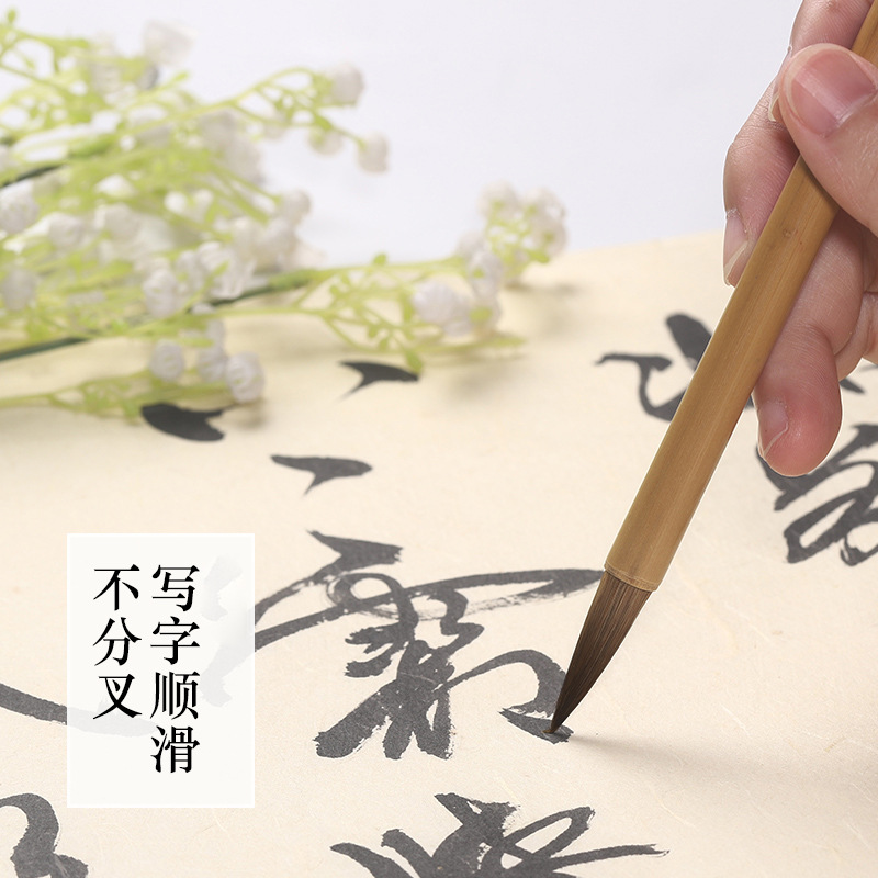 Baiyun Writing Brush Set Beginner Doubled Both with Weasel&#039;s Hair Sheep Hair Small Regular Script Medium Regular Script Regular Script Student Introduction Calligraphy Practice