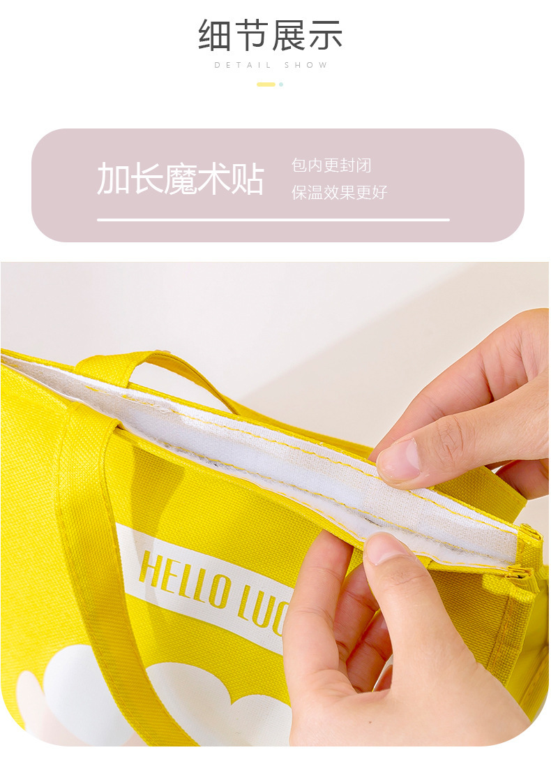 Cross-Border Lunch Bag Insulated Bag Portable Fresh-Keeping Lunch Box Bag Cartoon Student Handbag Lunch Bag Wholesale