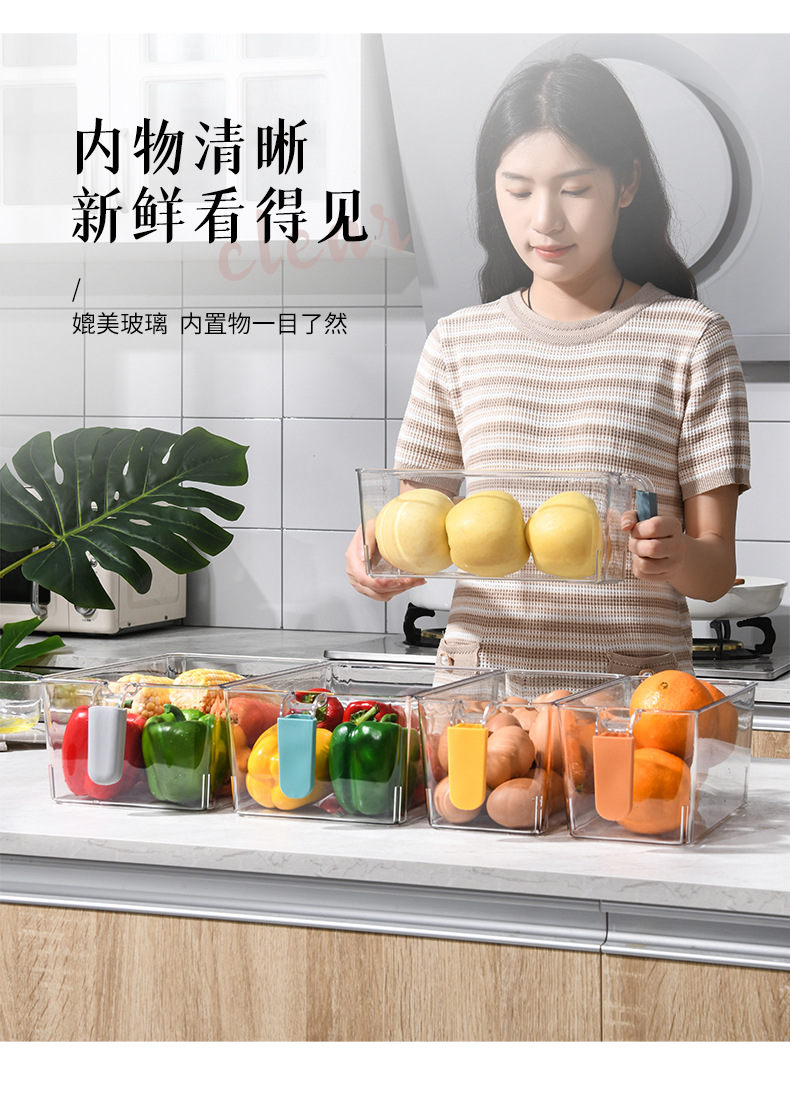 Simple Color Handle Storage Box Pet Food Transparent Fresh-Keeping Box Kitchen Fruit Bottle & Can Finishing Refrigerator Box