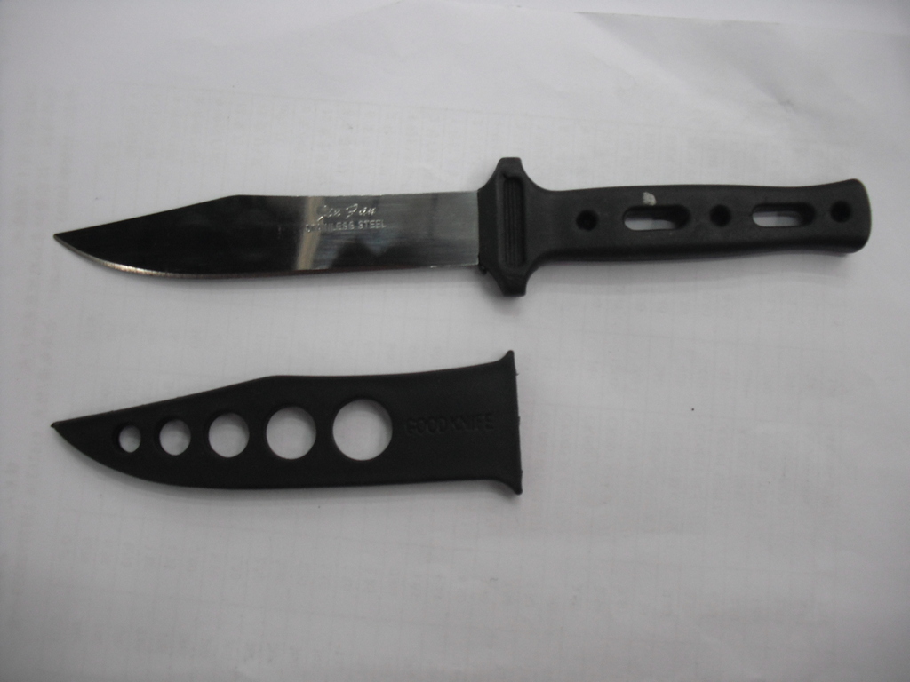 Paring knife