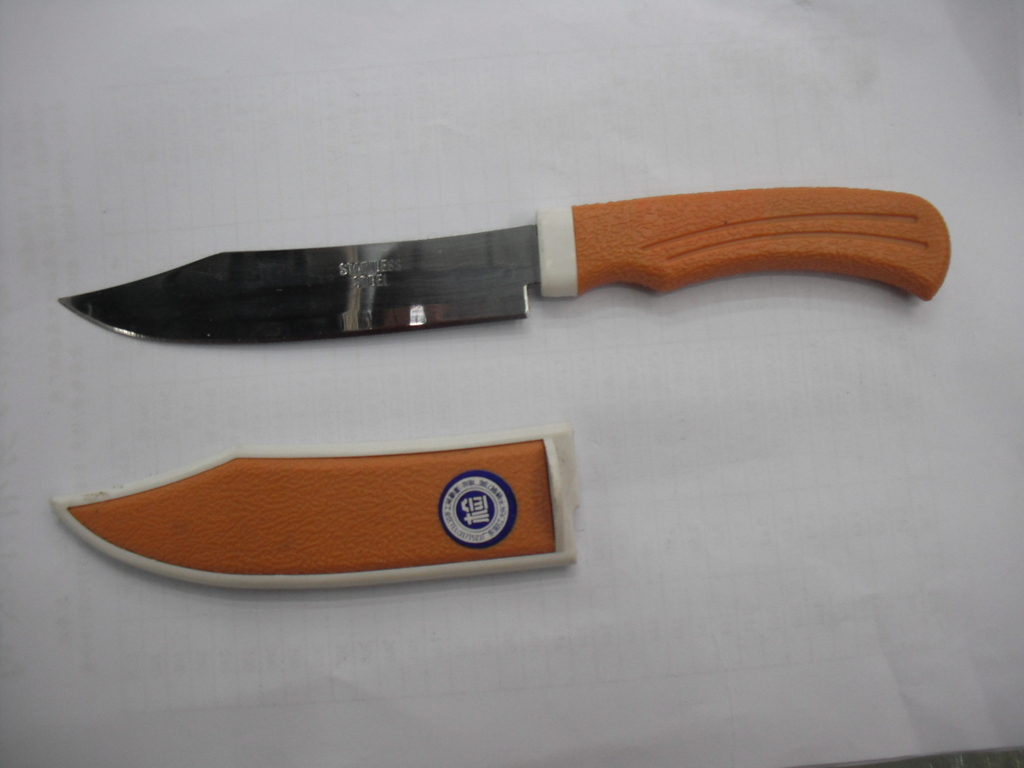 Paring knife