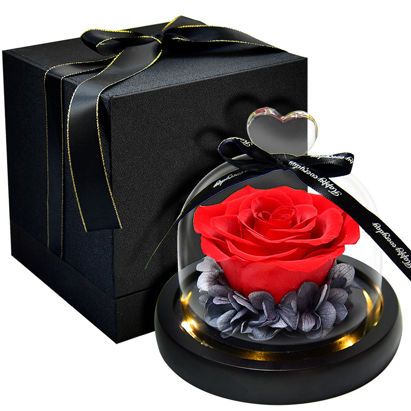 Preserved Fresh Flower Gift Christmas Valentine's Day Creative Gift Glass Cover Rose Dried Flower Manufacturer Amazon Cross-Border