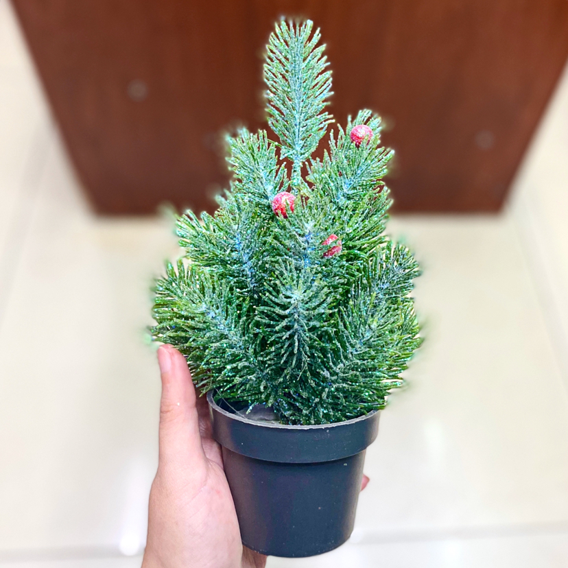 Christmas Decorations Desktop Potted Mini Christmas Tree Shopping Mall Hotel Party Ornaments Christmas Gifts Christmas Decorations Desktop Potted Mini Christmas Tree Shopping Mall Hotel Party Ornaments Christmas Gifts