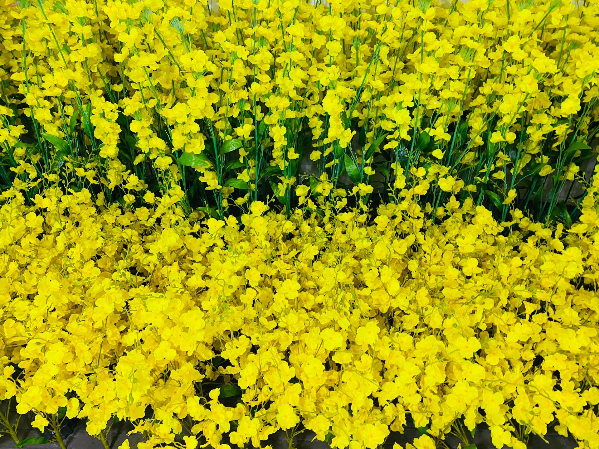 Simulation 3 Fork Rape Flower Wedding Wedding Hall Hotel Soft Decoration Ceiling Arch Decoration Raw Silk Flower Road Lead Flower Arrangement Material Simulation 3 Fork Rape Flower Wedding Wedding Hall Hotel Soft Decoration Ceiling Arch Decoration Raw Silk Flower Road Lead Flower Arrangement Material