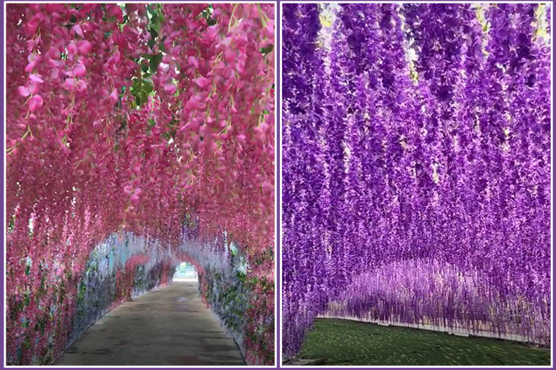 Artificial Wisteria Wedding Ceiling Decorative Silk Flower Artificial Fake Flower Rattan HANAFUJI Violets HANAFUJI Home Art Gallery Green Plants Artificial Wisteria Wedding Ceiling Decorative Silk Flower Artificial Fake Flower Rattan HANAFUJI Violets HANAFUJI Home Art Gallery Green Plants