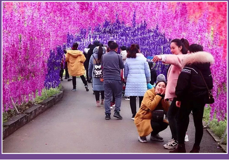 Artificial Wisteria Wedding Ceiling Decorative Silk Flower Artificial Fake Flower Rattan HANAFUJI Violets HANAFUJI Home Art Gallery Green Plants Artificial Wisteria Wedding Ceiling Decorative Silk Flower Artificial Fake Flower Rattan HANAFUJI Violets HANAFUJI Home Art Gallery Green Plants
