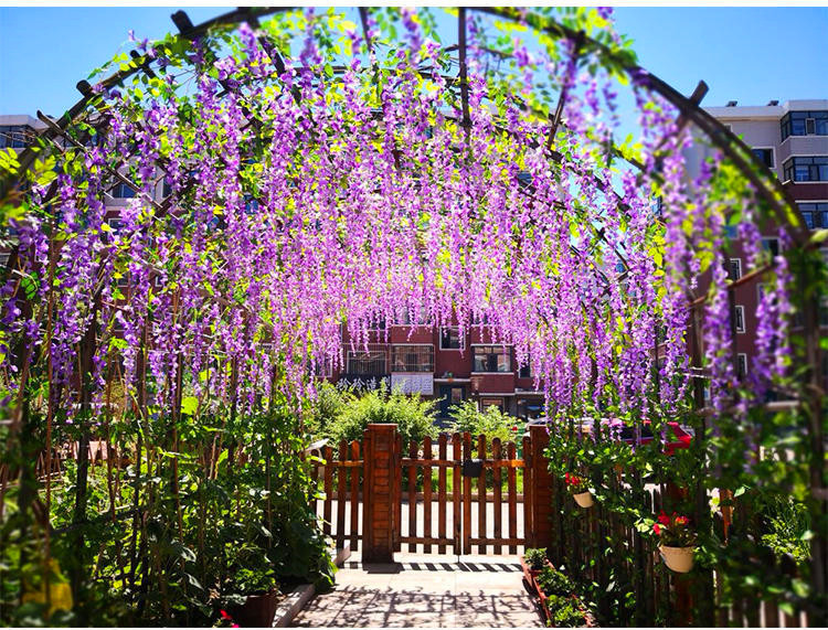 Artificial Wisteria Bean Flower String Long Wedding Celebration Decoration Rattan Indoor Ceiling Vine Flowers Violet HANAFUJI Fake Flower Artificial Wisteria Bean Flower String Long Wedding Celebration Decoration Rattan Indoor Ceiling Vine Flowers Violet HANAFUJI Fake Flower