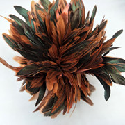 SOURCE Factory Direct Sales 4-6 Red Neck Chicken Feather Ornament Headdress Hat Flower Material Dyed Color Feather Stripe SOURCE Factory Direct Sales 4-6 Red Neck Chicken Feather Ornament Headdress Hat Flower Material Dyed Color Feather Stripe