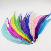 SOURCE Factory Direct Sales 4-6 Red Neck Chicken Feather Ornament Headdress Hat Flower Material Dyed Color Feather Stripe SOURCE Factory Direct Sales 4-6 Red Neck Chicken Feather Ornament Headdress Hat Flower Material Dyed Color Feather Stripe