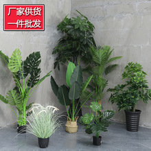 Imitative Tree Artificial Plant Bonsai Nordic Large Ravenala Bird of Paradise Domestic Ornaments Fake Green Plant Potted Plants Imitative Tree Artificial Plant Bonsai Nordic Large Ravenala Bird of Paradise Domestic Ornaments Fake Green Plant Potted Plants
