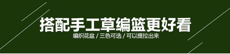 Imitative Tree Plants Green Plants Potted Indoor Living Room Large Artificial Bonsai Floor Ornaments Bird of Paradise Simulation Ravenala Imitative Tree Plants Green Plants Potted Indoor Living Room Large Artificial Bonsai Floor Ornaments Bird of Paradise Simulation Ravenala