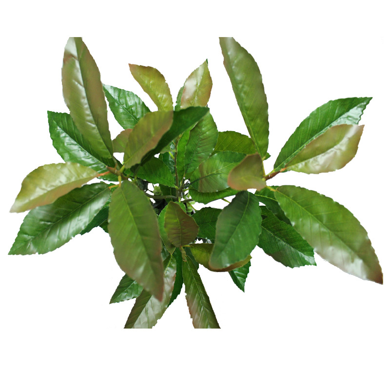 Artificial Plant Oak Leaf Board Millet Tree Summer Oak Leaf Three-Dimensional Branch Green Bar Leaf Green Landscape Engineering Factory Wholesale