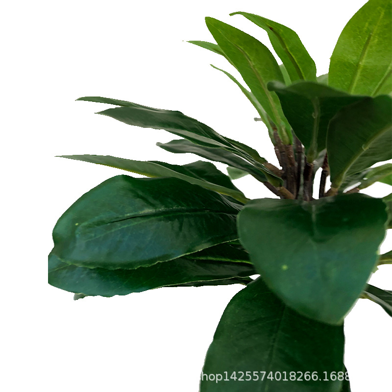 Artificial Plant Waxberry Leaf Shrub Qilixiang Tea Mini Pot Plant Waxberry Fruit Tree Fruit Super Realistic Decoration Artificial Plant Waxberry Leaf Shrub Qilixiang Tea Mini Pot Plant Waxberry Fruit Tree Fruit Super Realistic Decoration