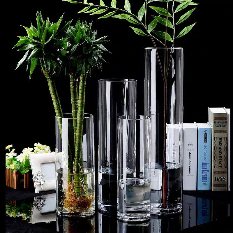 Bamboo Glass Vase Transparent High Water Bamboo Lucky Bamboo Dragon Bamboo Fortune Bamboo for Florists Cylindrical Straight Bamboo Glass Vase Transparent High Water Bamboo Lucky Bamboo Dragon Bamboo Fortune Bamboo for Florists Cylindrical Straight