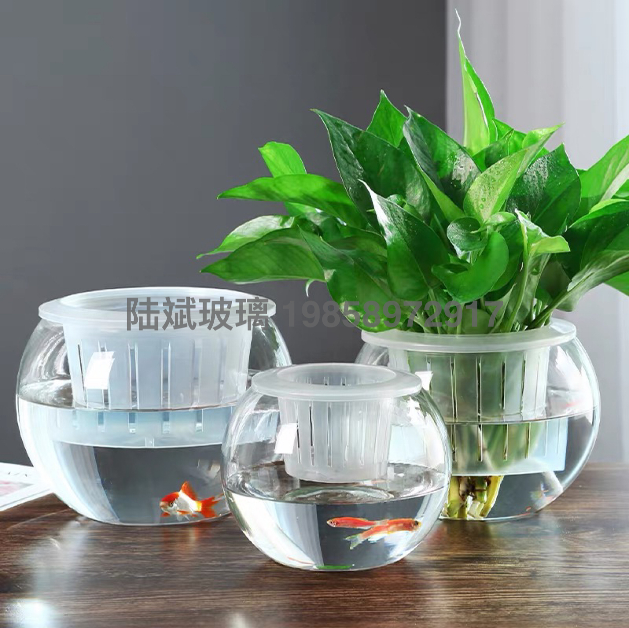 Hydroponic Plant Glass Bottle Transparent Vase Container Green Dill Flowerpot round Spherical Fish Tank Hydroponic Small Size Living Room Desktop