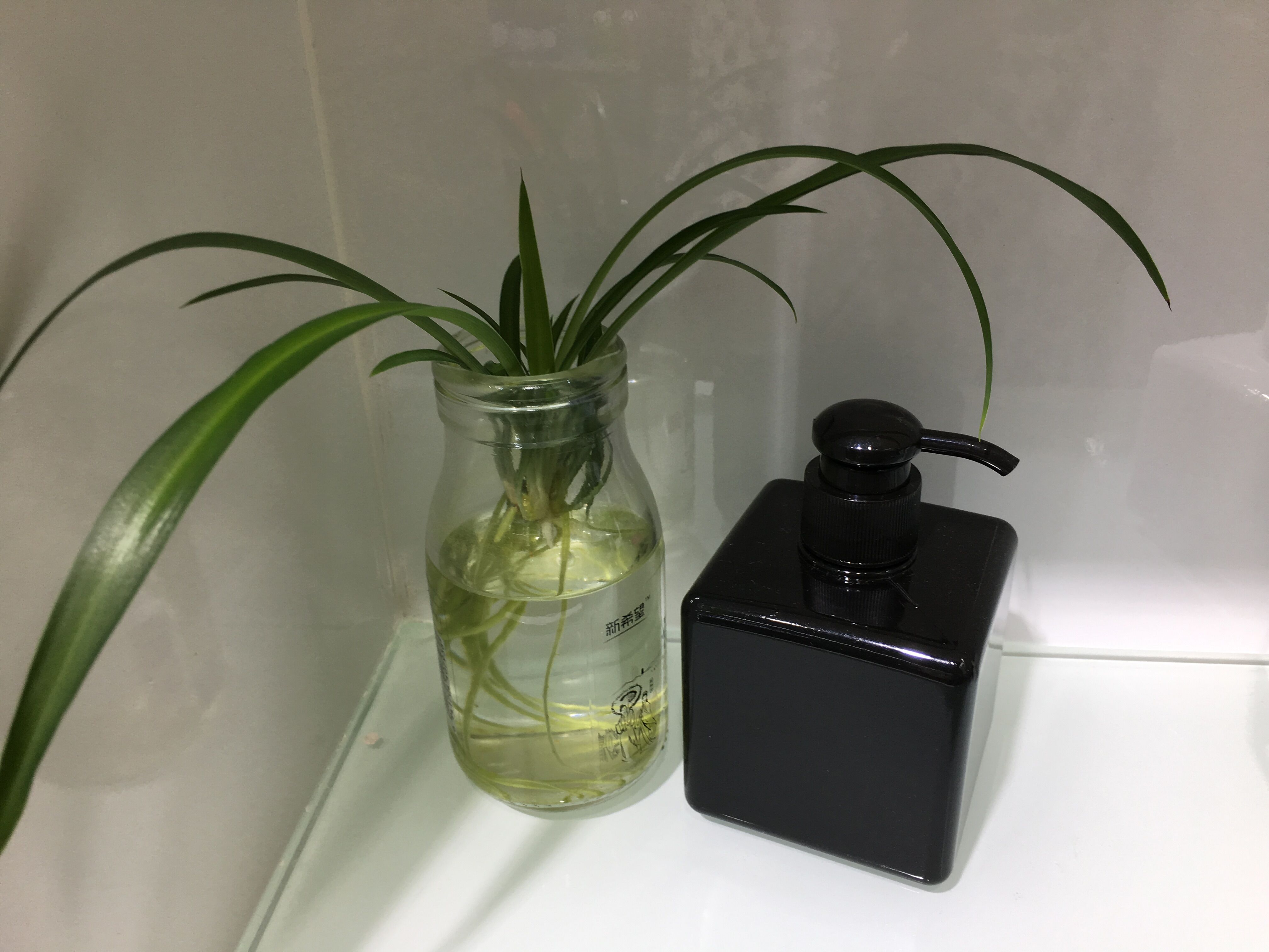 280ML square bottle, hand sanitizer bottle, PETG bottle, bathroom shower gel bottle, cosmetic bottle 280ML square bottle, hand sanitizer bottle, PETG bottle, bathroom shower gel bottle, cosmetic bottle