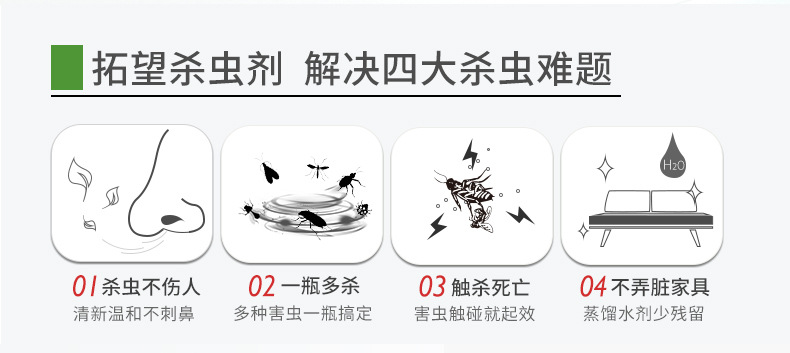 Wholesale Insecticide Aerosol Tasteless Killing Mosquito and Fly Ant Cockroach Killer Topone Lice Removal Flea Spray Household Spray