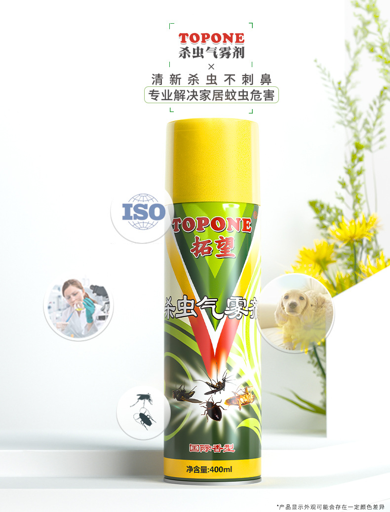 Wholesale Insecticide Aerosol Tasteless Killing Mosquito and Fly Ant Cockroach Killer Topone Lice Removal Flea Spray Household Spray