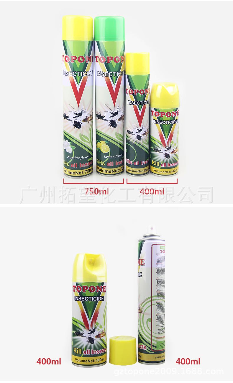 Wholesale Insecticide Aerosol Tasteless Killing Mosquito and Fly Ant Cockroach Killer Topone Lice Removal Flea Spray Household Spray