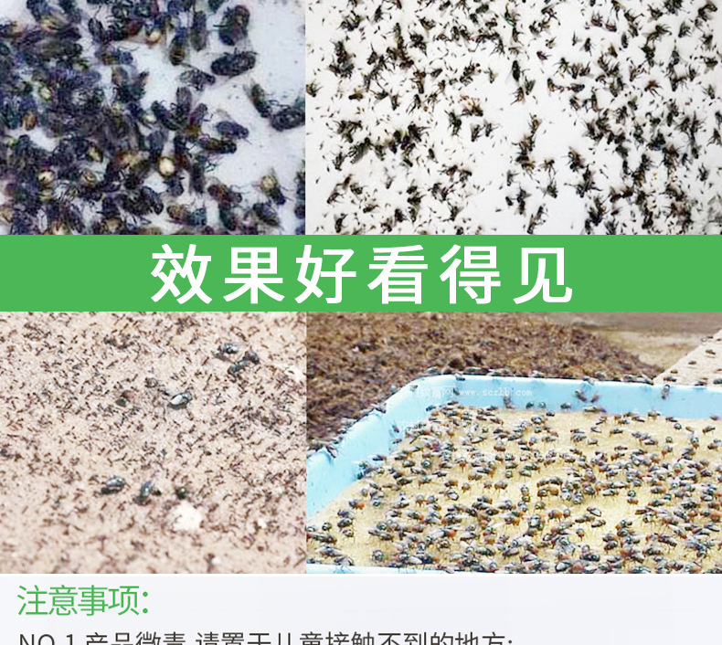 Domestic oral spray 750ml tasteless anti-mosquito and cockroach manufacturers direct wholesale aerosol