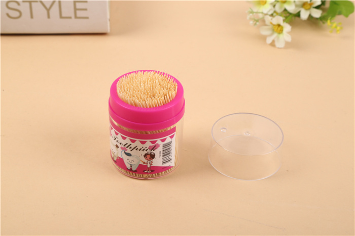 Quality Bamboo Toothpick Disposable Double-Headed Portable Bottled Fine-Tooth Fruit Household Toothpicks Bamboo Toothpick