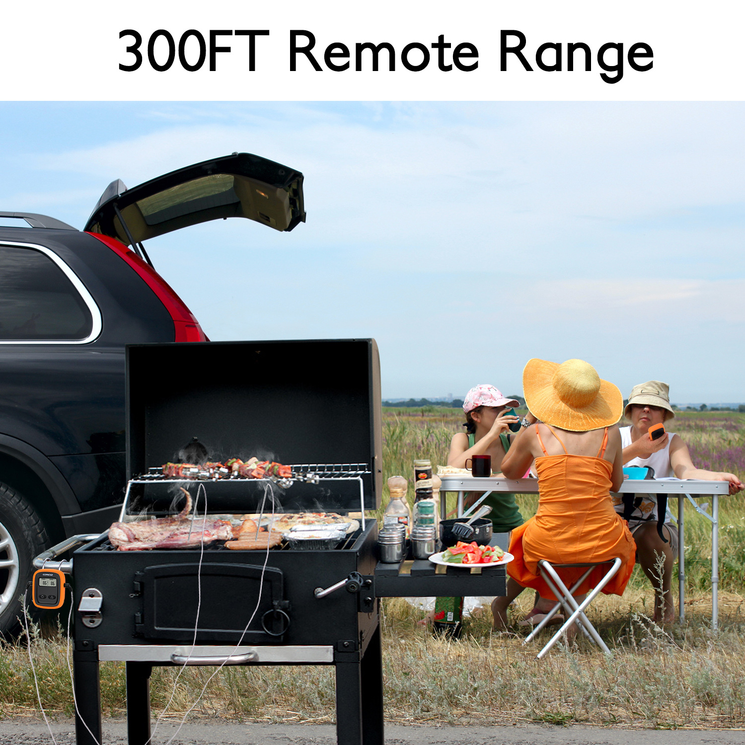 Barbecue Thermometer Oven High Temperature Baking Timing Thermometer BBQ Barbecue Probe Type BBQ Barbecue Thermometer Barbecue Thermometer Oven High Temperature Baking Timing Thermometer BBQ Barbecue Probe Type BBQ Barbecue Thermometer