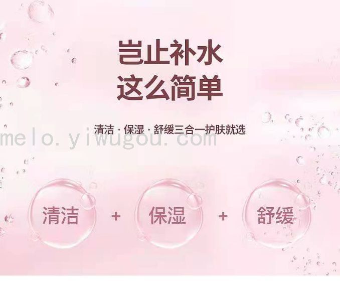 Nano Water Replenishing Instrument, Water Sprayer Nano Water Replenishing Instrument, Water Sprayer