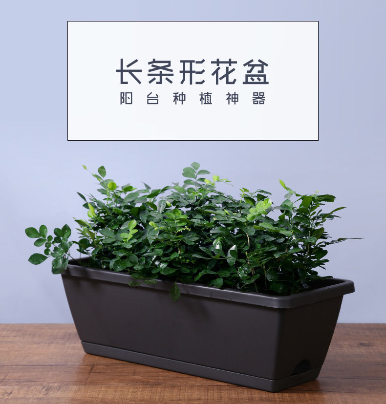 Planting Basin Horun Basin Long Flower Pot Rectangular Balcony Vegetable Planting Artifact Indoor Extra Large Planting Trough Railing Plastic Planting Basin Horun Basin Long Flower Pot Rectangular Balcony Vegetable Planting Artifact Indoor Extra Large Planting Trough Railing Plastic