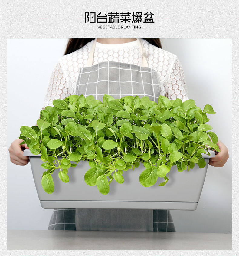 Planting Basin Horun Basin Long Flower Pot Rectangular Balcony Vegetable Planting Artifact Indoor Extra Large Planting Trough Railing Plastic Planting Basin Horun Basin Long Flower Pot Rectangular Balcony Vegetable Planting Artifact Indoor Extra Large Planting Trough Railing Plastic
