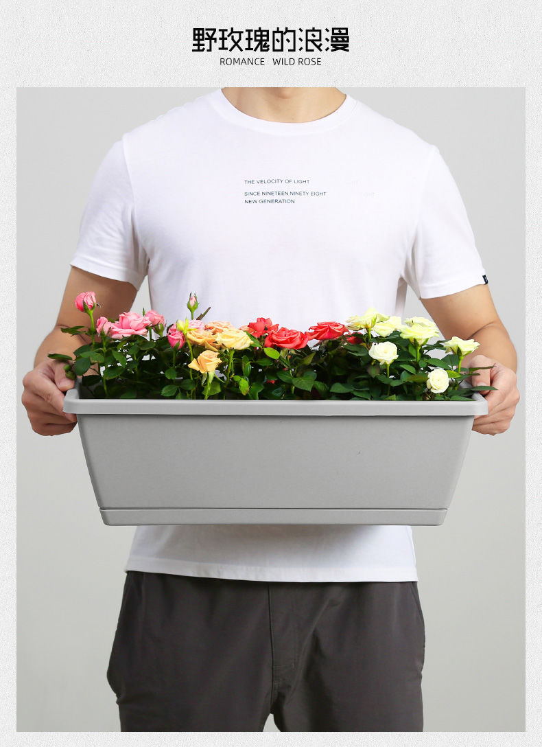 Planting Basin Horun Basin Long Flower Pot Rectangular Balcony Vegetable Planting Artifact Indoor Extra Large Planting Trough Railing Plastic Planting Basin Horun Basin Long Flower Pot Rectangular Balcony Vegetable Planting Artifact Indoor Extra Large Planting Trough Railing Plastic