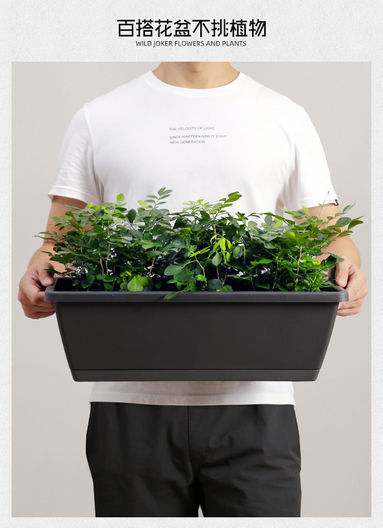 Planting Basin Horun Basin Long Flower Pot Rectangular Balcony Vegetable Planting Artifact Indoor Extra Large Planting Trough Railing Plastic Planting Basin Horun Basin Long Flower Pot Rectangular Balcony Vegetable Planting Artifact Indoor Extra Large Planting Trough Railing Plastic