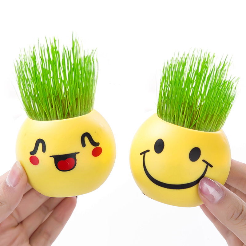 Toothed Burclover Doll Long Creative Cool Expression Desktop Small Plant Bonsai (Plastic Basin) Decoration Gifts Toy
