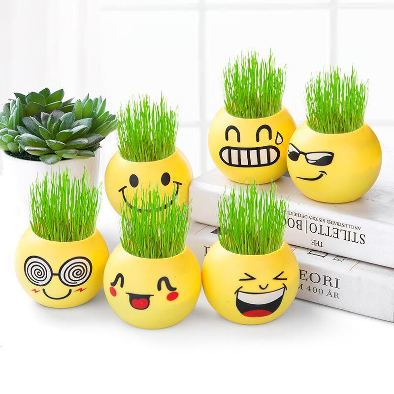 Toothed Burclover Doll Long Creative Cool Expression Desktop Small Plant Bonsai (Plastic Basin) Decoration Gifts Toy