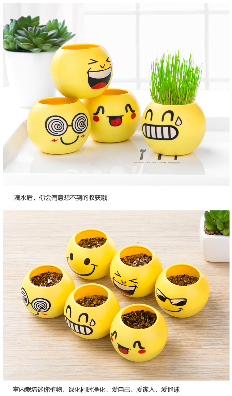 Toothed Burclover Doll Long Creative Cool Expression Desktop Small Plant Bonsai (Plastic Basin) Decoration Gifts Toy Toothed Burclover Doll Long Creative Cool Expression Desktop Small Plant Bonsai (Plastic Basin) Decoration Gifts Toy